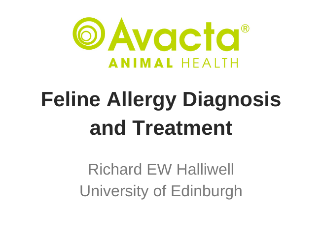 Feline Allergy Diagnosis and Treatment