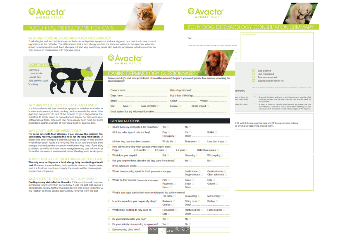 Dermatology in practice documents