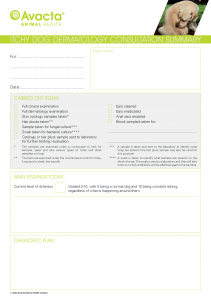 Summary page for an itchy dog consultation