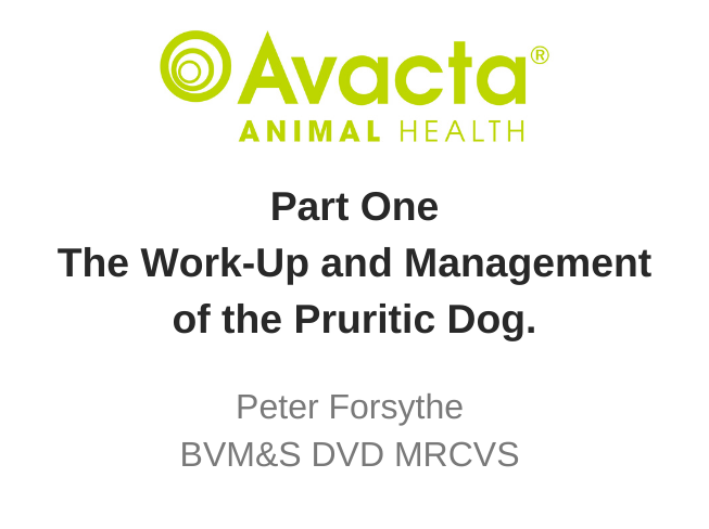 The work-up and management of the Pruritic dog - Peter Forsythe