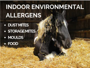 Indoor Allergens