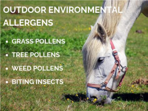 Outdoor Allergens