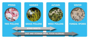 Pollens