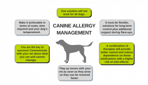 Canine allergy management