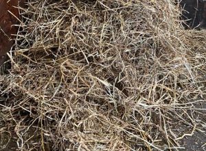 Haylage