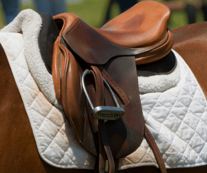 Saddle