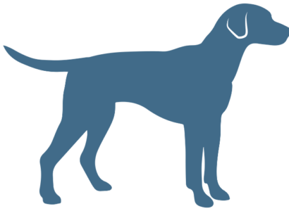 canine
