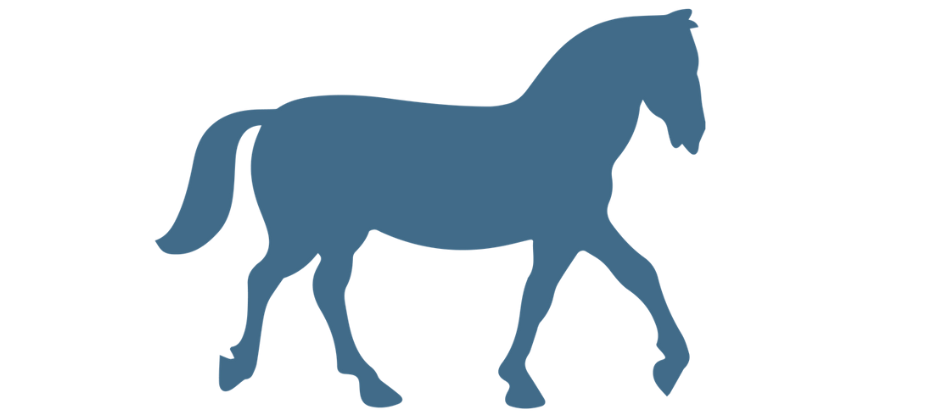 equine equine