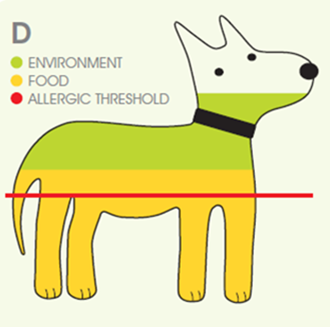 The allergy threshold - allergenic stimulation with clinical signs